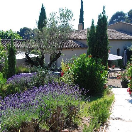 Le Clos De La Chevre Sud La Cadiere-d'Azur Exteriör bild