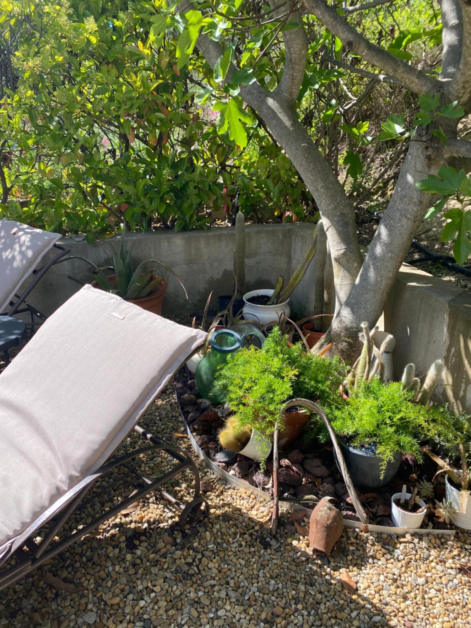Le Clos De La Chevre Sud La Cadiere-d'Azur Exteriör bild