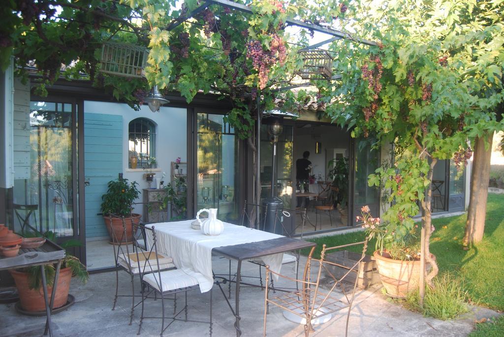Le Clos De La Chevre Sud La Cadiere-d'Azur Exteriör bild